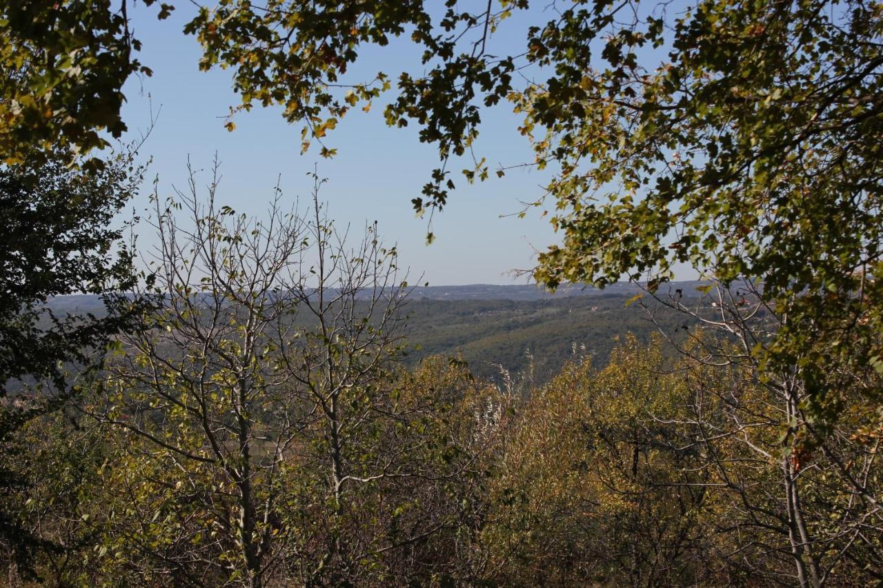 Apartments With A Parking Space Presika, Labin - 7390 Екстериор снимка